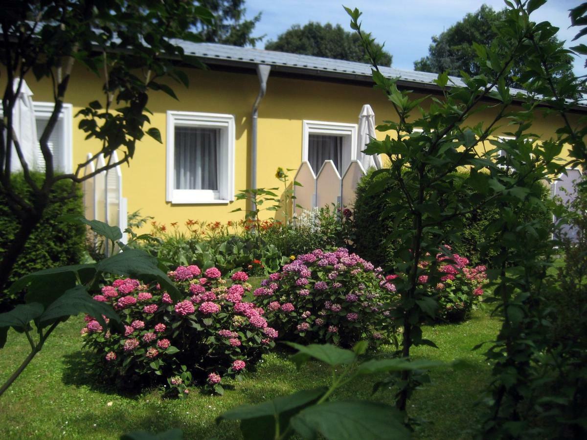 Haus Am Wald Apartment